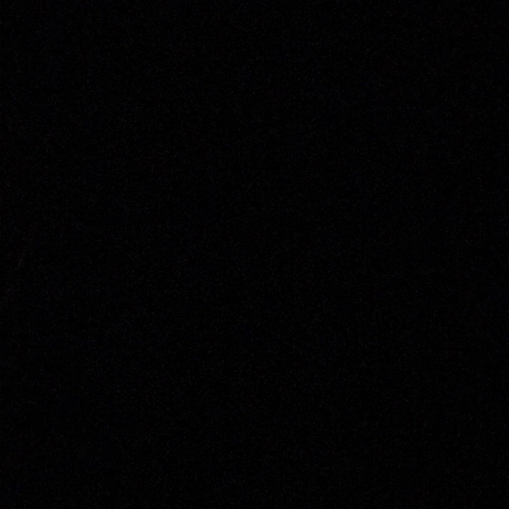 Meet your Posher, Sadie